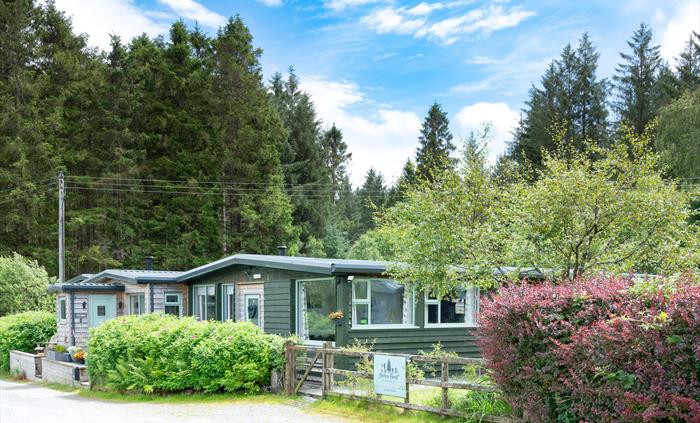 Hafren Forest Hideaway
